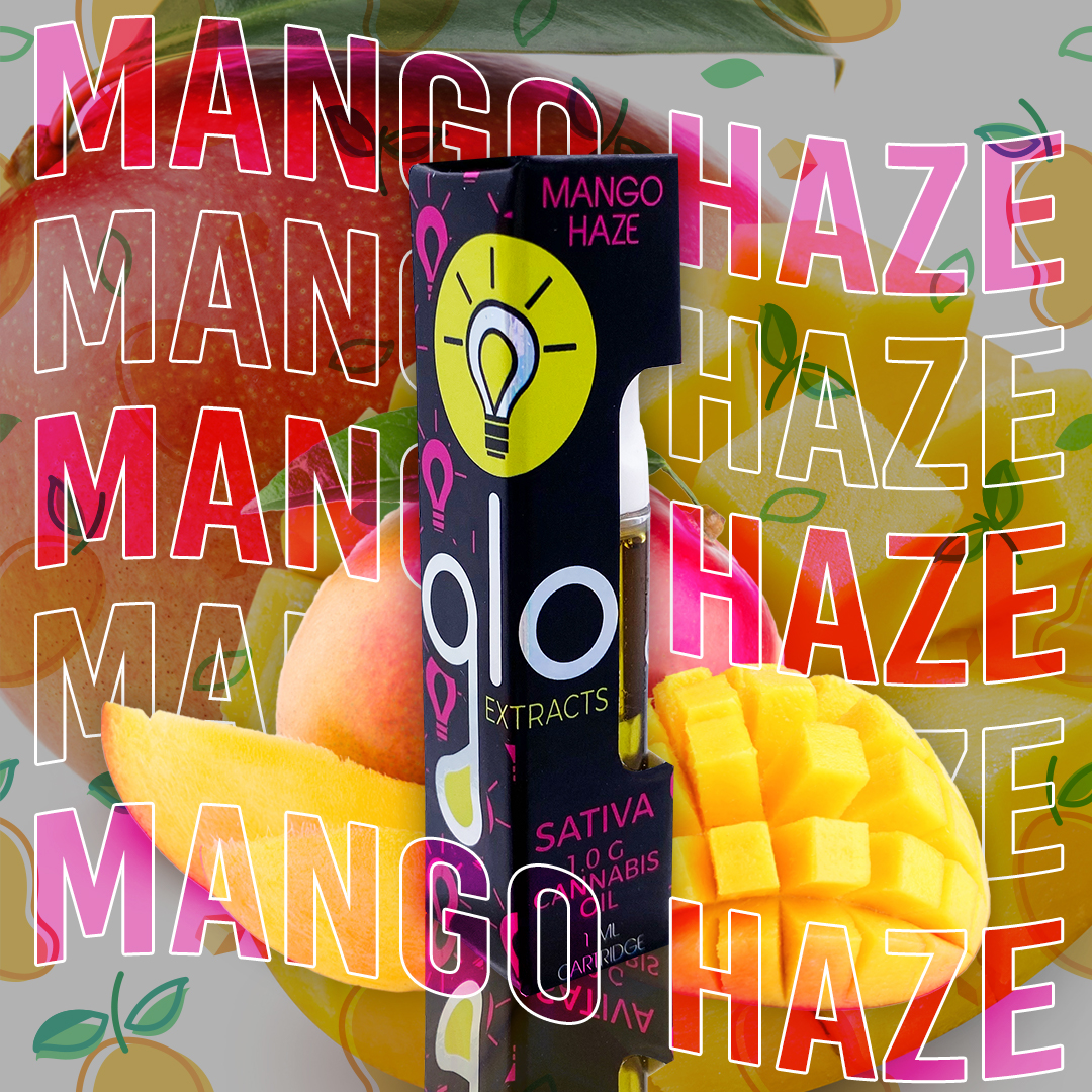 Mango Haze Mango Haze