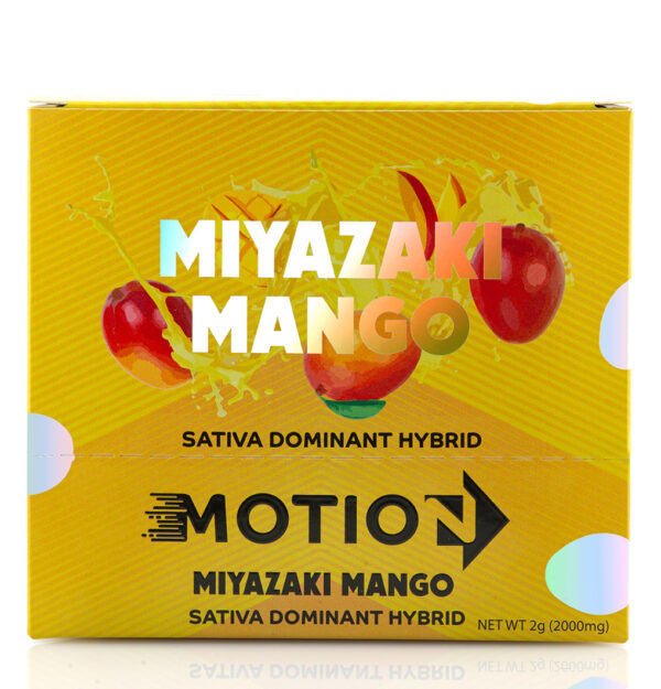 Motion Miyazaki Mango - Image 2