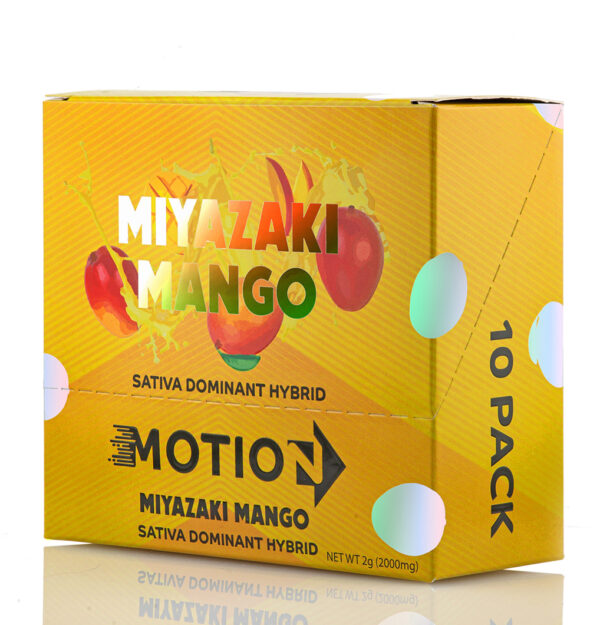 Motion Miyazaki Mango - Image 3